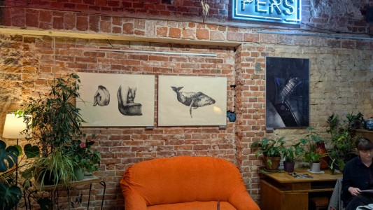 Kliknij, aby powiększyć zdjęcie.